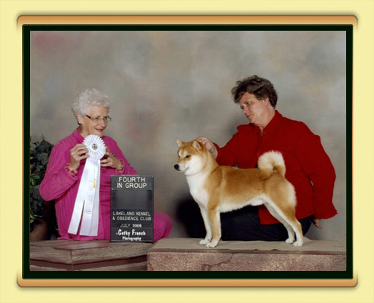 JoJo - BISS, BPIS, CH Tanasea's Starbuck O'Timberfox