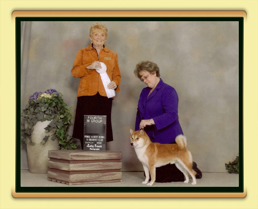 JoJo - BISS, BPIS, CH Tanasea's Starbuck O'Timberfox