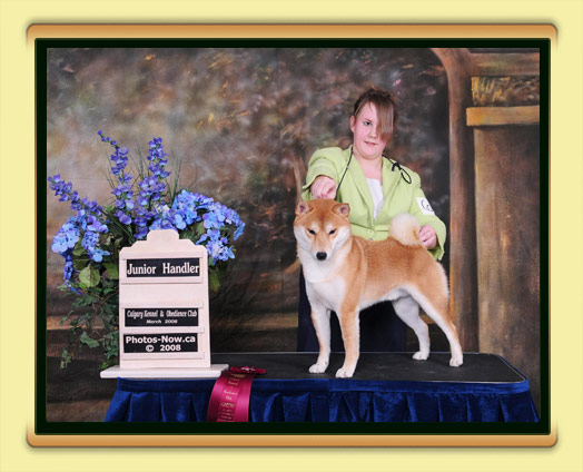 JoJo - BISS, BPIS, CH Tanasea's Starbuck O'Timberfox